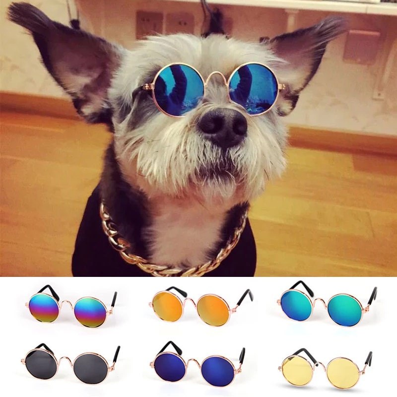 Óculos de Sol Vintage para Pets