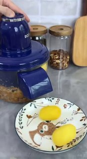 Processador de Alimentos