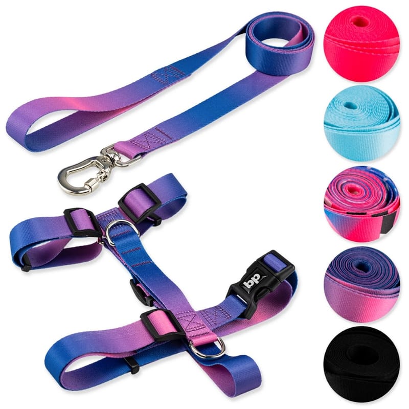 Categorias: #Pet